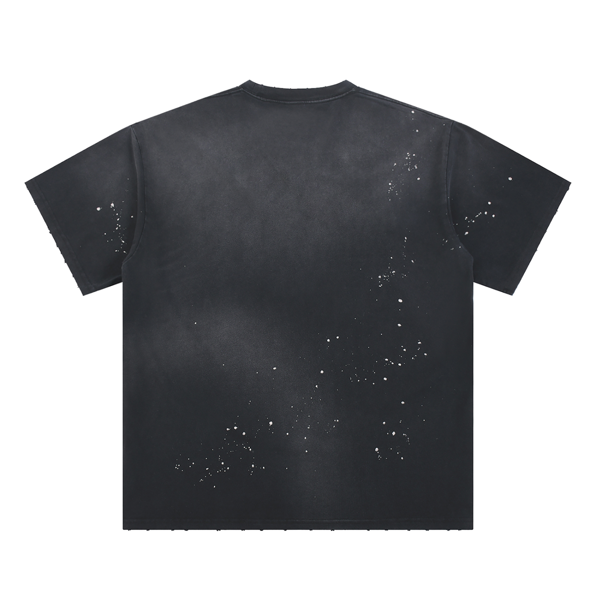 Ancestral Intelligence Sunfade Tee